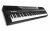 Alesis CODA PRO