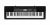 Casio CTK-2500K2