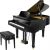 ROLAND GP609-PE/BNC-21PE-T