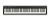 Roland FP-10-Black