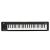 KORG MICROKEY2 49 Controller