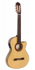Paco Castillo Guitar 233FTE 