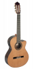 Paco Castillo Guitar 224CE 