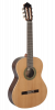 Paco Castillo Guitar 201