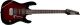IBANEZ GRX70QA-Transparent Red Burst Electric Guitar