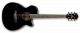 IBANEZ AEG8E-BK