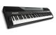 Alesis CODA PRO