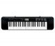 Casio CTK-245H2