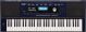ROLAND E-X30
