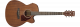Ibanez PF12MHCE-OPN Open Pore Natural