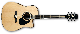 IBANEZ PF15ECE-Natural High Gloss