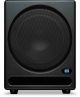 Presonus Temblor T10
