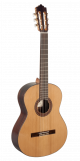 Paco Castillo Guitar 203