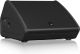 TURBOSOUND TFM122M-AN 2-way Stage Monitor, 12